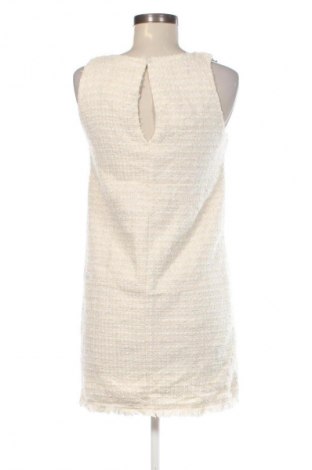 Kleid Mango, Größe S, Farbe Ecru, Preis € 14,99