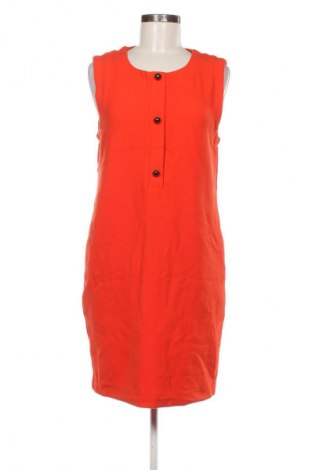 Kleid Mexx, Größe L, Farbe Orange, Preis 14,99 €