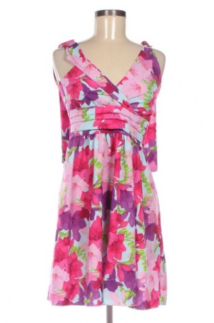 Kleid NEW COLLECTION, Größe XS, Farbe Mehrfarbig, Preis 24,55 €