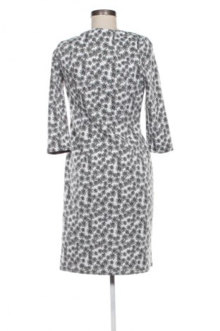 Рокля Phase Eight, Размер M, Цвят Многоцветен, Цена 108,68 лв.