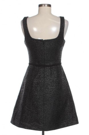 Kleid Proenza Schouler, Größe S, Farbe Schwarz, Preis 104,80 €