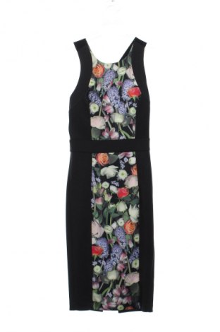 Šaty  Ted Baker, Veľkosť XS, Farba Viacfarebná, Cena  194,88 €