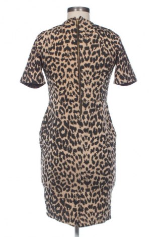 Рокля Warehouse, Размер M, Цвят Многоцветен, Цена 48,88 лв.