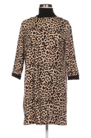 Kleid Zara, Größe S, Farbe Mehrfarbig, Preis € 15,99