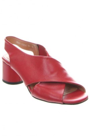 Sandalen Simen, Größe 36, Farbe Rot, Preis 84,33 €