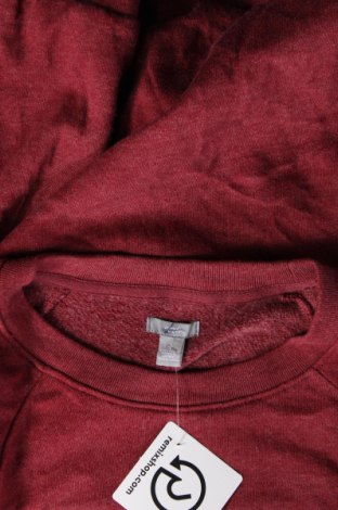 Γυναικεία μπλούζα Aerie, Μέγεθος S, Χρώμα Κόκκινο, Τιμή 2,47 €