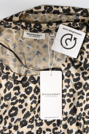 Γυναικεία μπλούζα Broadway, Μέγεθος XS, Χρώμα Πολύχρωμο, Τιμή 6,87 €