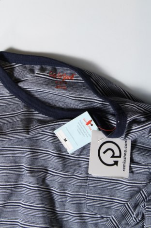 Damen Shirt Cat & Jack, Größe M, Farbe Mehrfarbig, Preis € 15,84