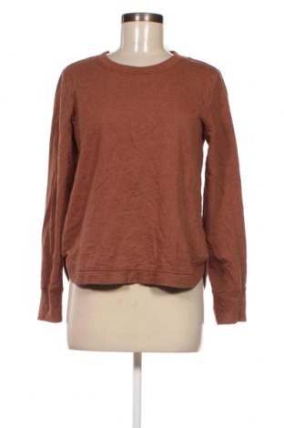Γυναικεία μπλούζα Joe Fresh, Μέγεθος S, Χρώμα Καφέ, Τιμή 2,47 €