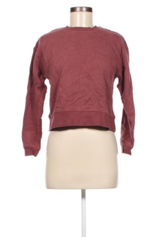 Damen Shirt Kiabi, Größe XS, Farbe Aschrosa, Preis 2,12 €