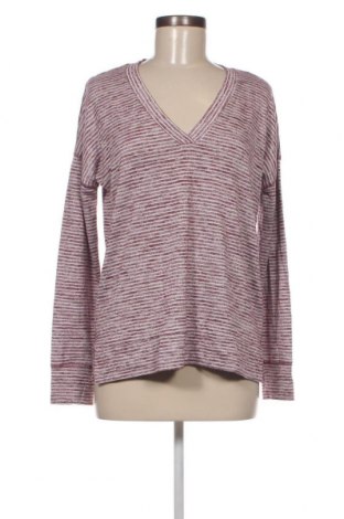 Γυναικεία μπλούζα Kirkland, Μέγεθος S, Χρώμα Πολύχρωμο, Τιμή 2,59 €