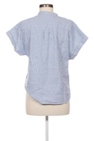 Γυναικεία μπλούζα Montego, Μέγεθος M, Χρώμα Μπλέ, Τιμή 15,98 €