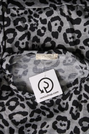 Γυναικεία μπλούζα Olivia Rae, Μέγεθος S, Χρώμα Πολύχρωμο, Τιμή 2,59 €