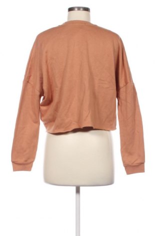 Damen Shirt Primark, Größe XS, Farbe Beige, Preis € 2,12