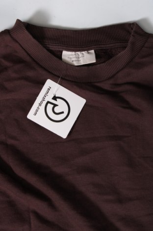 Damen Shirt Springfield, Größe S, Farbe Braun, Preis € 2,23