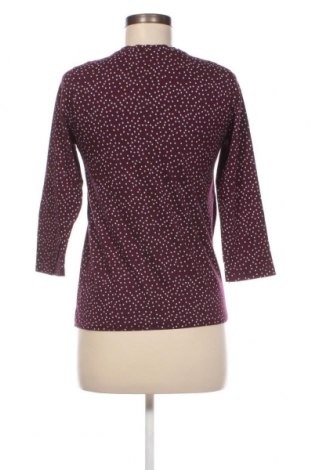 Γυναικεία μπλούζα Sure, Μέγεθος S, Χρώμα Βιολετί, Τιμή 9,62 €