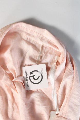 Γυναικείο πουκάμισο Gas, Μέγεθος S, Χρώμα Ρόζ , Τιμή 52,58 €
