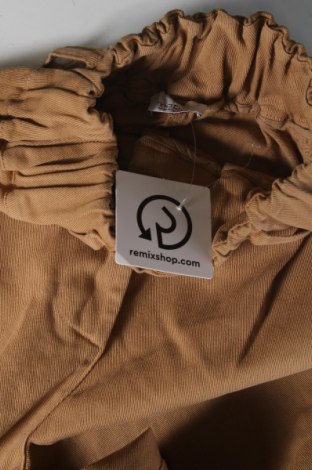Damen Jeans Motivi, Größe XXS, Farbe Braun, Preis 19,74 €