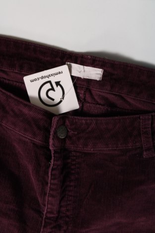 Pantaloni de velvet de femei, Mărime XL, Culoare Mov, Preț 20,99 Lei