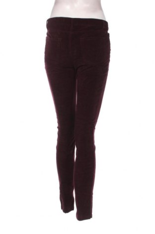 Γυναικείο κοτλέ παντελόνι Ajc, Μέγεθος M, Χρώμα Βιολετί, Τιμή 3,95 €