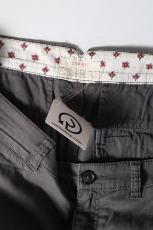 Damen Shorts Esprit, Größe XL, Farbe Grau, Preis 7,18 €