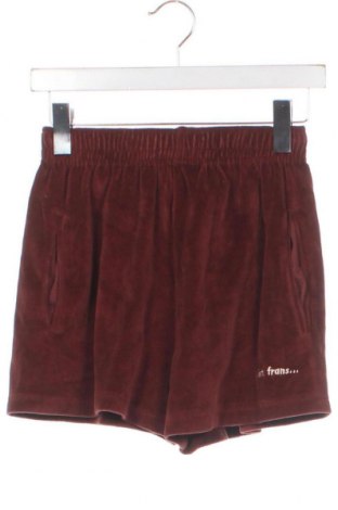 Дамски къс панталон iets frans..., Размер XS, Цвят Кафяв, Цена 10,08 лв.