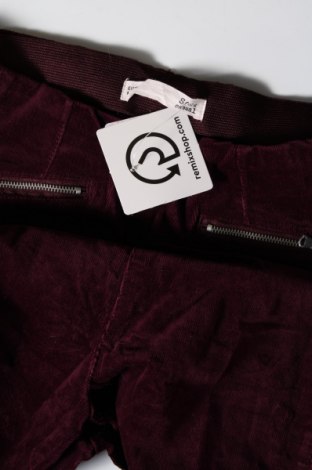 Дамски панталон Sfera, Размер S, Цвят Червен, Цена 4,93 лв.