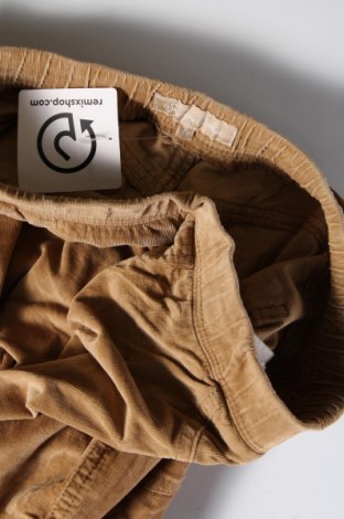 Γυναικείο παντελόνι Southern Cotton, Μέγεθος XL, Χρώμα  Μπέζ, Τιμή 17,94 €