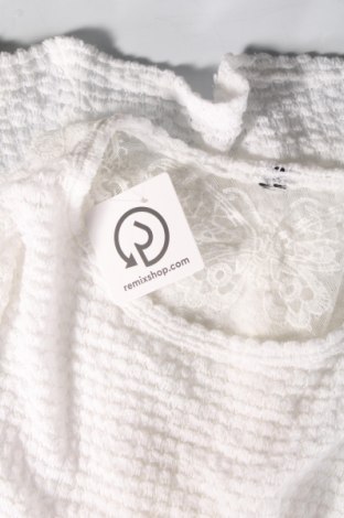 Γυναικείο πουλόβερ, Μέγεθος XL, Χρώμα Λευκό, Τιμή 14,83 €