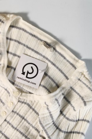 Γυναικείο πουλόβερ Sonoma, Μέγεθος XL, Χρώμα Εκρού, Τιμή 6,28 €