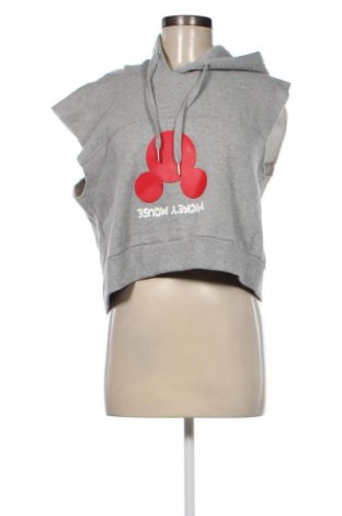 Damen Sweatshirt Oviesse, Größe L, Farbe Grau, Preis 6,40 €
