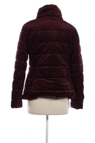 Γυναικείο μπουφάν Tex, Μέγεθος S, Χρώμα Κόκκινο, Τιμή 12,56 €