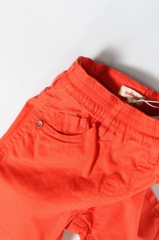 Детски къс панталон Catimini, Размер 6-9m/ 68-74 см, Цвят Оранжев, Цена 3,00 лв.