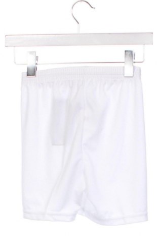 Pantaloni scurți pentru copii Errea, Mărime 7-8y/ 128-134 cm, Culoare Alb, Preț 102,63 Lei
