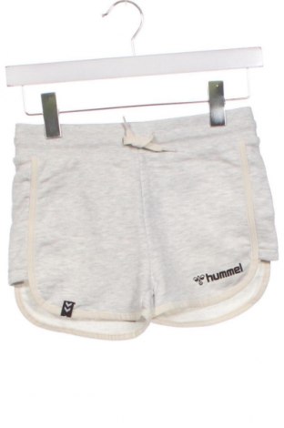 Детски къс панталон Hummel, Размер 9-10y/ 140-146 см, Цвят Сив, Цена 9,36 лв.