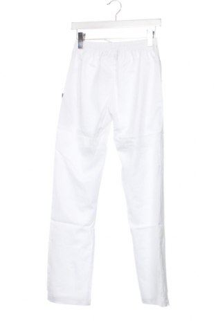 Pantaloni de trening, pentru copii Head, Mărime 13-14y/ 164-168 cm, Culoare Alb, Preț 31,26 Lei