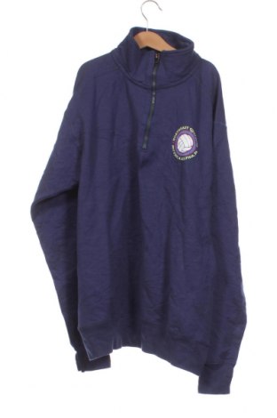 Ανδρική μπλούζα Hanes, Μέγεθος S, Χρώμα Μπλέ, Τιμή 11,75 €