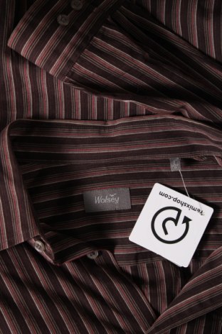 Herrenhemd Wolsey, Größe L, Farbe Mehrfarbig, Preis 5,43 €
