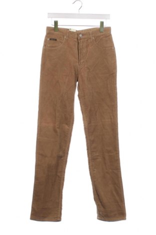 Мъжки джинси Bram's Paris, Размер S, Цвят Кафяв, Цена 10,68 лв.