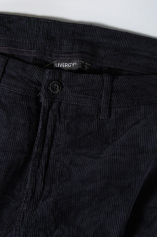 Pantaloni raiați de bărbați Livergy, Mărime L, Culoare Albastru, Preț 19,08 Lei