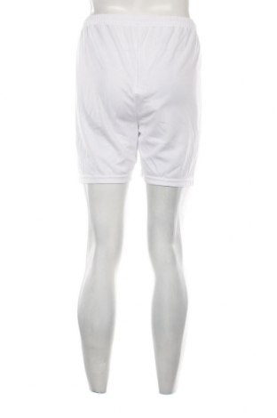 Мъжки къс панталон Errea, Размер S, Цвят Бял, Цена 52,00 лв.