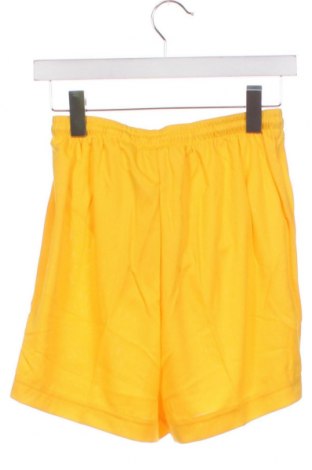 Herren Shorts PUMA, Größe S, Farbe Gelb, Preis 37,11 €