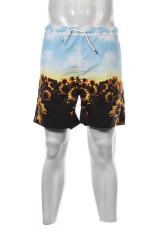 Ανδρικό κοντό παντελόνι Review, Μέγεθος M, Χρώμα Πολύχρωμο, Τιμή 10,64 €