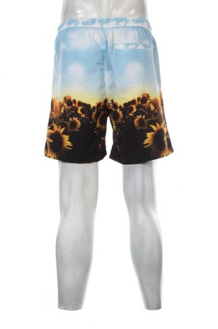 Ανδρικό κοντό παντελόνι Review, Μέγεθος M, Χρώμα Πολύχρωμο, Τιμή 6,43 €