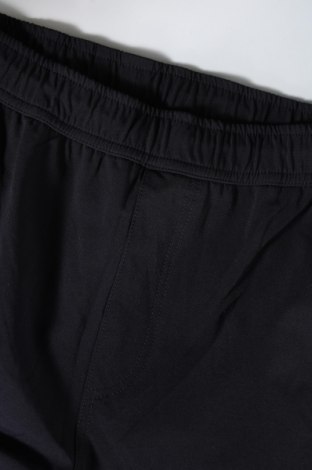 Ανδρικό παντελόνι, Μέγεθος L, Χρώμα Μπλέ, Τιμή 4,50 €