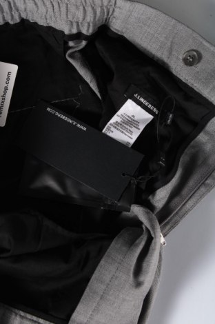 Ανδρικό παντελόνι J.Lindeberg, Μέγεθος M, Χρώμα Γκρί, Τιμή 8,86 €