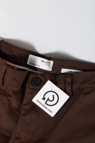 Pánske nohavice  Selected Homme, Veľkosť XL, Farba Hnedá, Cena  48,97 €