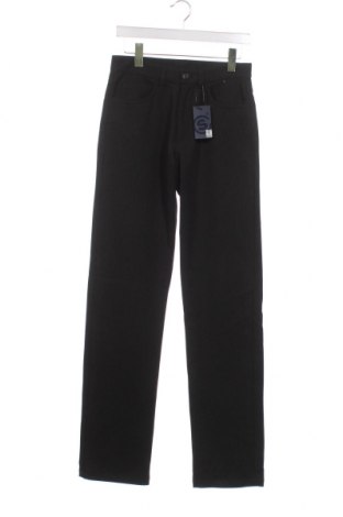 Pantaloni de bărbați Silver Creek, Mărime S, Culoare Gri, Preț 30,39 Lei