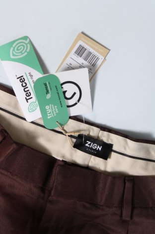 Ανδρικό παντελόνι Zign, Μέγεθος XL, Χρώμα Καφέ, Τιμή 13,46 €