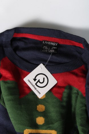 Ανδρικό πουλόβερ Livergy, Μέγεθος XL, Χρώμα Μπλέ, Τιμή 2,87 €